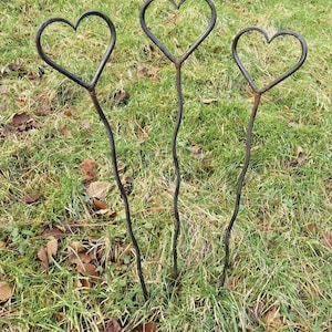 May include: Three metal heart-shaped garden stakes. Each stake has a heart at the top and a wavy stem. The stakes are dark in color and are placed in a grassy area with some fallen leaves.