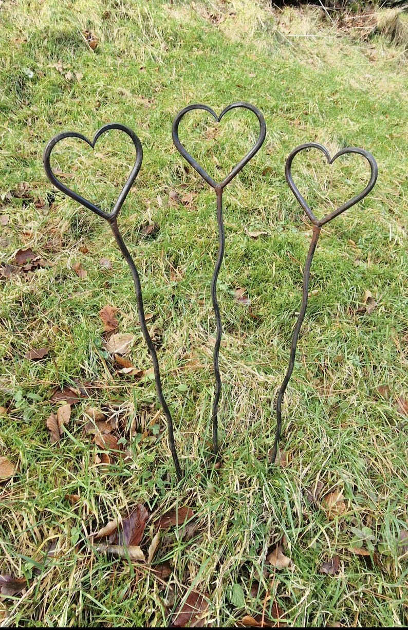 May include: Three metal heart-shaped garden stakes. Each stake has a heart at the top and a wavy stem. The stakes are dark in color and are placed in a grassy area with some fallen leaves.