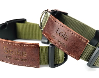 Dog Collar Personalized, Dog Collar Girl, Dog Collar Boy, Custom Dog Collar, Dog Collar with Name,Dog Collar Tag engraved,Dog Collar Leather