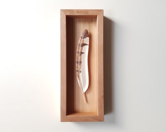 Barn Owl feather 2 - Framed wooden Barn Owl feather