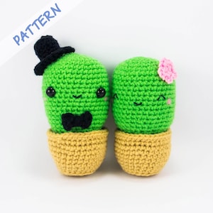 Modello all'uncinetto per coppia di cactus, modello amigurumi per cactus, tutorial peluche succulento, decorazioni con piante finte, regalo di nozze fai da te, regalo di coppia