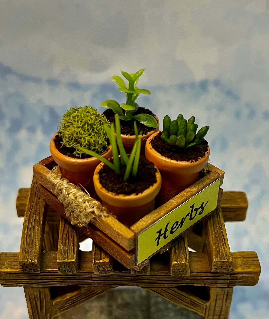 View of Miniature Herb Crate - Miniature Herbs - Cake Toppers - Fairy Garden ...