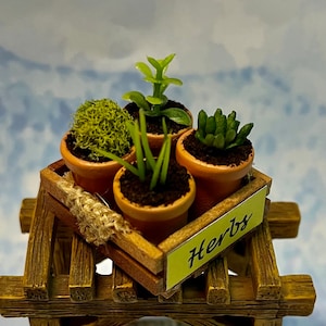 Miniature Herb Crate - Miniature Herbs - Cake Toppers - Fairy Garden - Miniature Garden -Miniature Vegetables -Miniature Crate -Garden decor