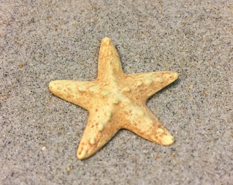 Miniature Large Starfish - One Included - Miniature Beach - Beach Miniatures -Beach Wedding -Wedding Cake Toppers -Beach Terrarium -Starfish