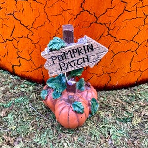 May include: A miniature wooden sign with the words "Pumpkin Patch" pointing to the right. The sign is decorated with small pumpkins and green leaves. The sign is sitting on a bed of green moss.
