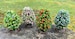 Miniature Spring Bushes - Outdoor Miniatures - Fairy Garden - Miniature Trees - Wedding Cake Toppers - Camping Terrarium - Forest Miniatures 