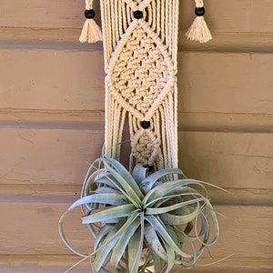 Macrame Plant Hanger - This Is Not A Miniature - Air plant Hanger - House Decor - Home Decor - House Plants - Macrame Decor - Plant Hanger