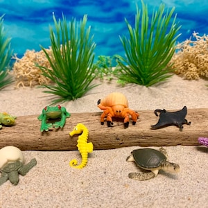 Miniature Tiny Beach Animals - Your Choice - Fairy Garden - Miniature Beach - Beach Miniatures - Miniature Animals - Cake Toppers -Terrarium