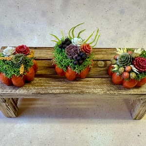 Miniature Pumpkin With Succulents And Flowers -Your Choice -Miniature Pumpkins -Miniature Succulents-Miniature Flowers -Halloween Miniatures