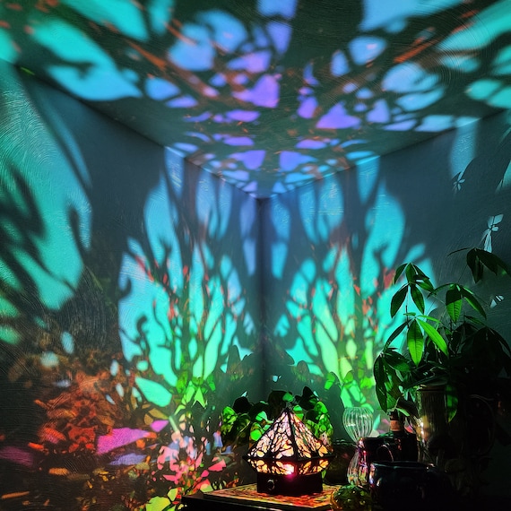 Mood 2024 light room