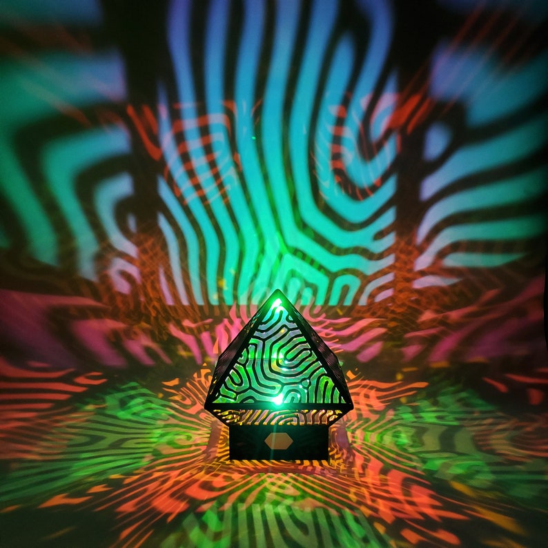 Brain Coral Lamp Etsy