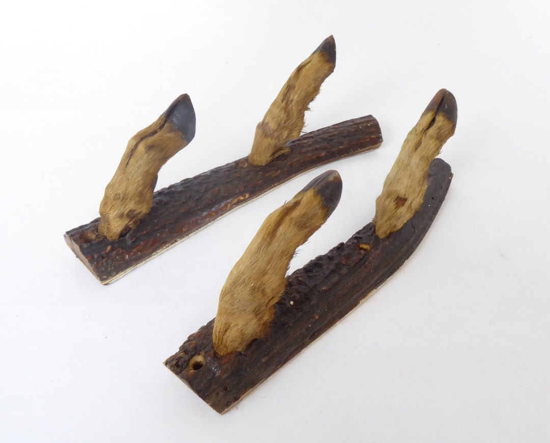 French Deer Foot Gun Rack Deer Foot Taxidermy Hooks Etsy