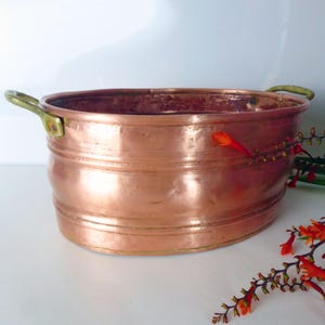 Copper Jardiniere - Antique French Copper Plant Pot Holder With Brass Handles