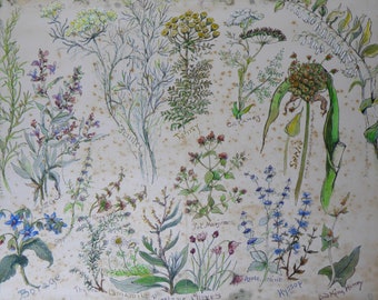 Vintage Herb Illustration: Original Botanical Watercolour Painting