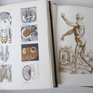 I lettori digeriscono libri illustrati di medicina e anatomia umana - Les Merveilles De Notre Corps