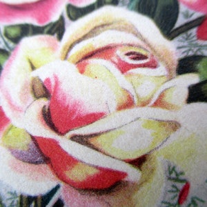May include: A close-up of a white and pink rose with a textured, almost fabric-like appearance. The rose is in focus, while the background is blurred.