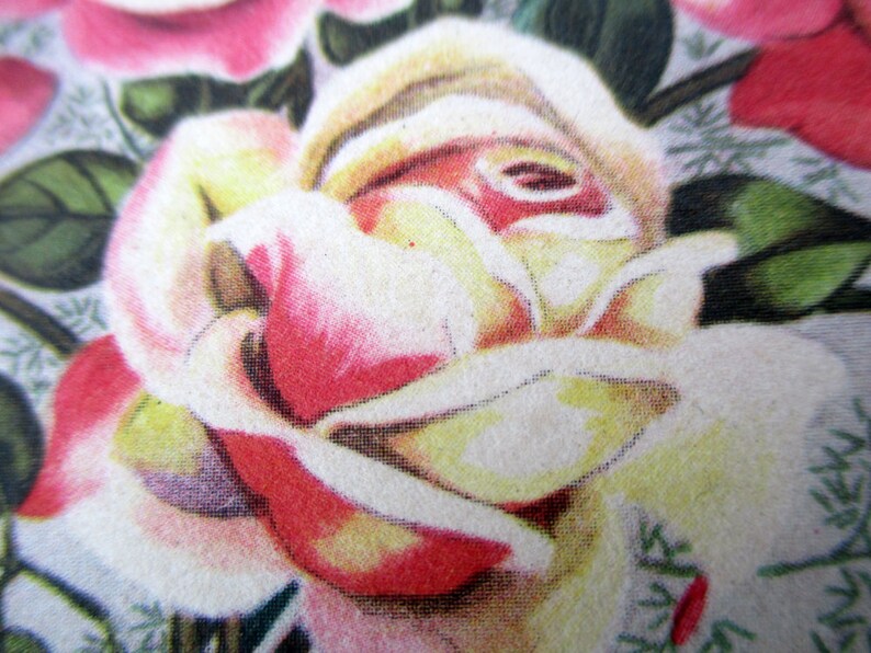 May include: A close-up of a white and pink rose with a textured, almost fabric-like appearance. The rose is in focus, while the background is blurred.