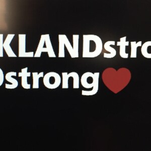 Parkalnd Strong/MSD Strong Vinyl Windowl Decal