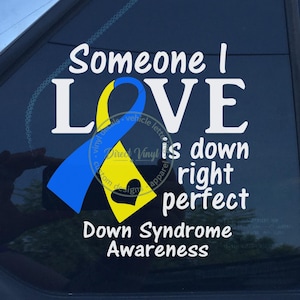 May include: A white vinyl decal applied to a car window featuring the text "Someone I LOVE is down right perfect" and "Down Syndrome Awareness" with a blue and yellow awareness ribbon forming the letter V and a small black heart icon.