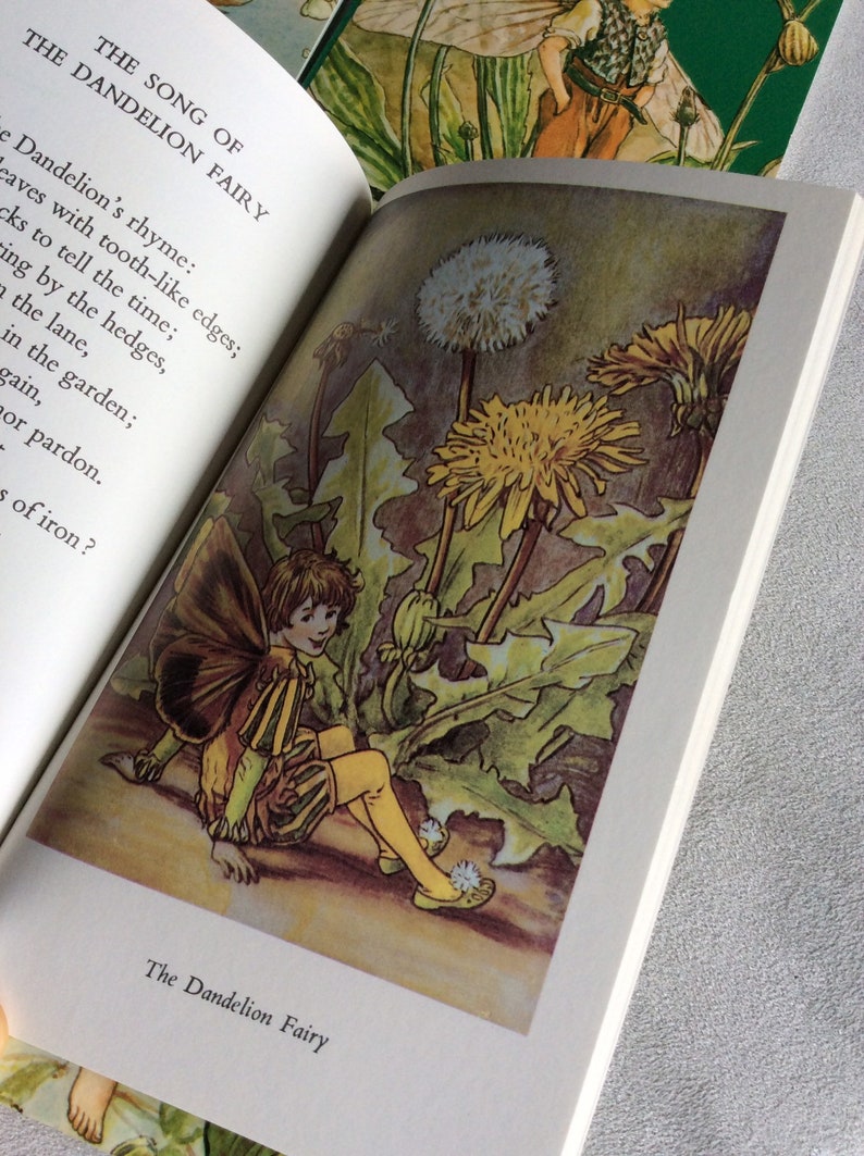 1970s Complete box set of Flower Fairies paperback books Etsy