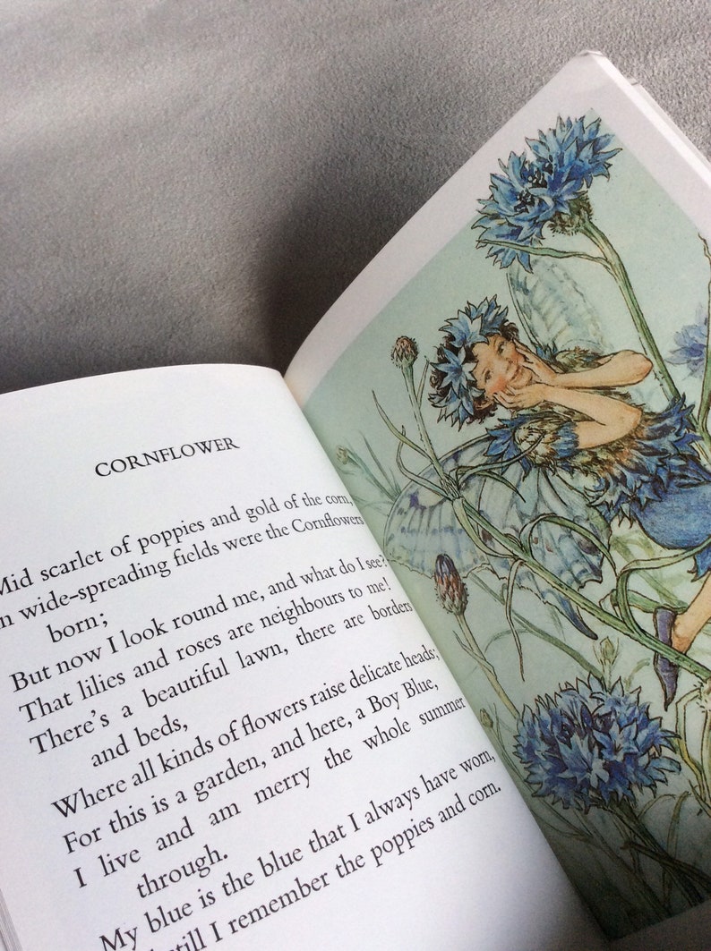 1970s Flower Fairies of the Garden Paperback by Cecily Mary Barker Etsy