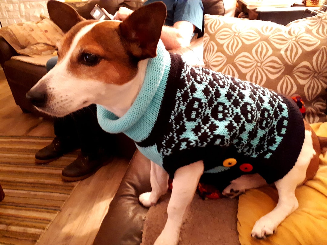 Machine Knitting Pattern Basic Small Dog Coat Etsy