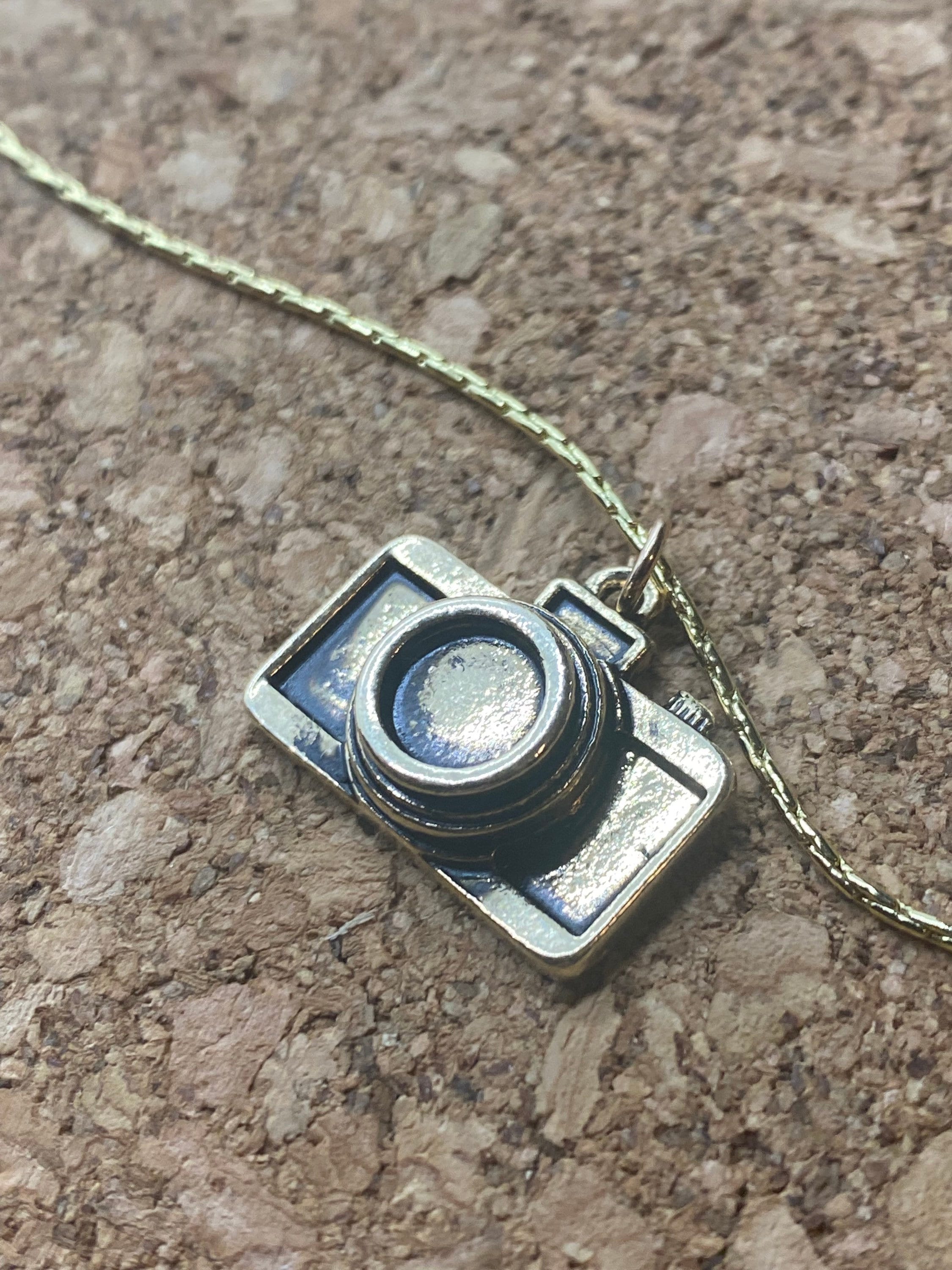 Pendant camera discount