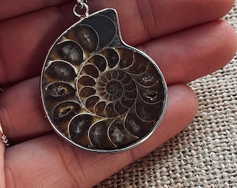Puede incluir: Un collar de cadena de plata con un colgante que presenta un amonite fosilizado en un marco de plata. El amonite tiene una forma espiral con marcas marrones y negras.