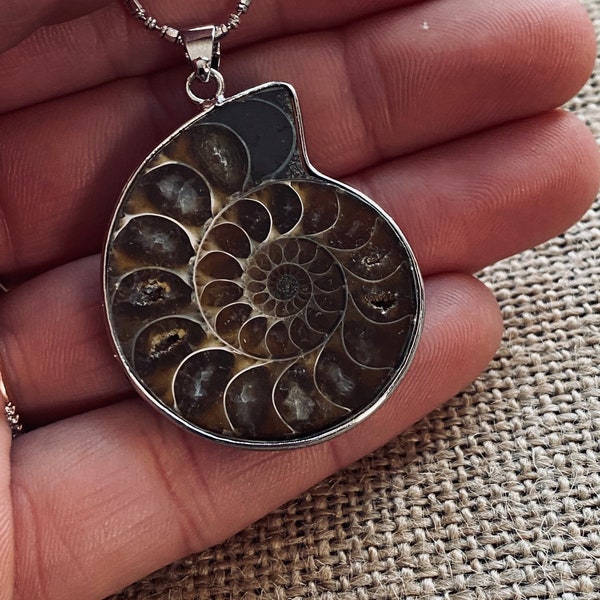 Natural Cut Ammonite Fossil Pendant - Rought Snail Fossil Pendant - Gemstone Necklace - Sterling Silver Necklace - JustBeadItByDrue