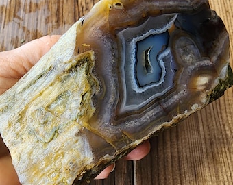 27.69 oz (785 gr) Petrified Wood Limb Cast, Limb Cast Agate, Fossil Wood, Limb Cast, Fossilized Wood, Agatized Wood Specimen, Plume Agate