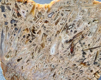 Large Stick Agate Slab, Unpolished Tube Agate Rough, Lapidary Stone