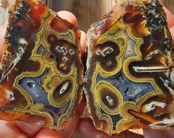 5.36 oz (152 gr) Eye Agate, Lapidary, Multi Color Agate, Fortification Agate, Collectible Agate, Lapidary Rough, Lapidary Slabs, Agate Pair