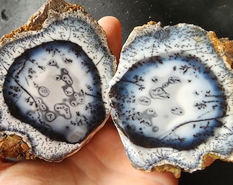 14 oz (397 gr) Dendritic Opal Pair, 수지상 오팔, Dendritic Opal, Opal Specimen, Dendrite Opal, 樹枝状オパール, Dendritischer Opal, Dendrite Opal Pair