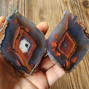 Puede incluir: Dos rodajas de ágata pulida con bandas concéntricas de color naranja oscuro, marrón y gris translúcido. Cada piedra muestra un centro distintivo en forma de diamante con un núcleo cristalino blanco y bordes texturizados naturales.