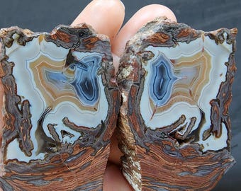 素晴らしい縞模様の瑪瑙。珍しい素晴らしい色で、磨かれたカラフルな