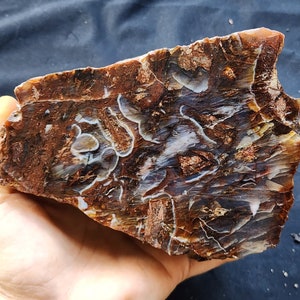 Collectible Agate, めのう, Rocks To, 玛瑙, Lapidary Slab, Rocks for Tumbling, Rocks For Tumbler, Rocks for Polishing, 마노, Stones For, Achat Agata