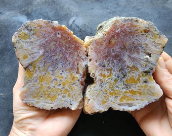 Pink & Yellow Agate Specimen: Natural Turkish Rock Pair, 2.7 lbs