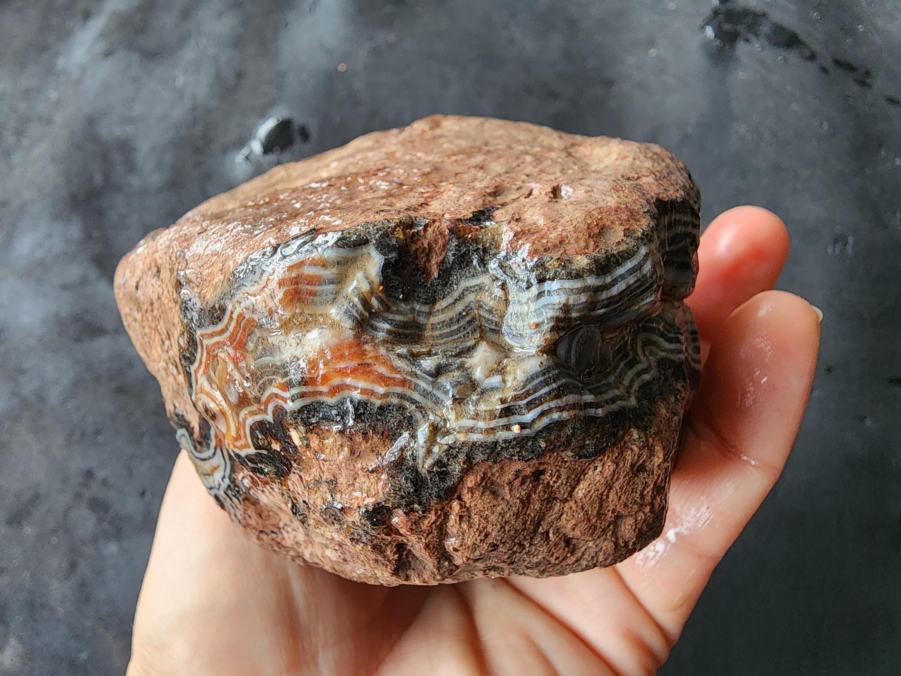Identifying Agate Rocks Rough Unopened Banded Agate Nodule, Natural Rough Stone, Turkey Origin - Etsy