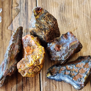 May include: A collection of five raw agate stones featuring varied textures and colours including deep brown, amber, orange, and grey. The stones display natural banding, crystalline formations, and irregular shapes with a polished, wet appearance.