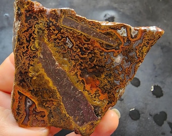 Plume Agate, Brecciated Agate Pair, Lapidary Rough, Colorful Agate