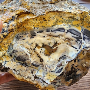 Large Opal Specimen, Large Yellow Opal, Dendritic Opal Rough, Dendrite Opal Rough, 수지상 오팔, Lapidary, Raw Dendritic Opal