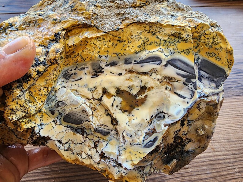Large Opal Specimen, Large Yellow Opal, Dendritic Opal Rough, Dendrite Opal Rough, 수지상 오팔, Lapidary, Raw Dendritic Opal
