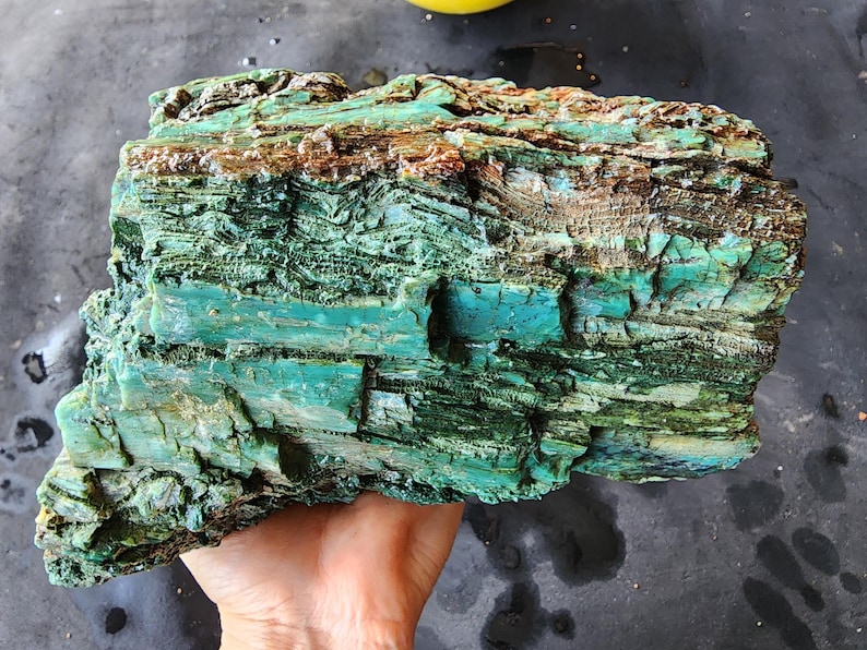 Lapidary Equipment, Turkish Colla Wood Rough, Collawood, Lapidary Machine, Colla Wood, خشب متحجر, オパライズドウッド, Expensive Rocks, Lapidary Tools, lapidary template