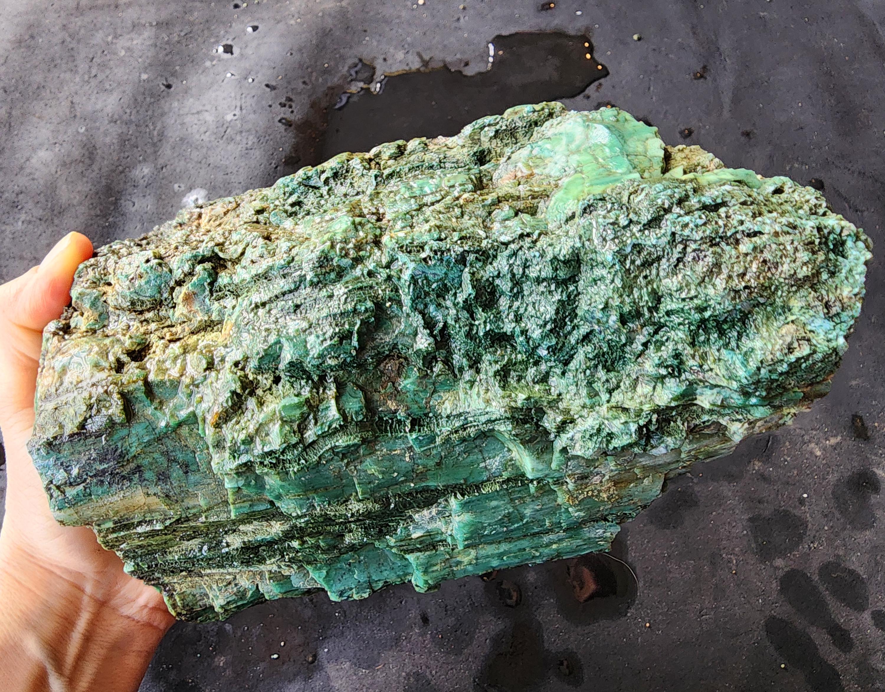 Expensi Rocks Lapidary Equipment, Turkish Colla Wood Rough, Collawood, Lapidary ...