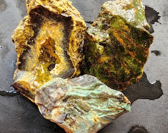 Raw Gemstones: Chrysoprase Rough, Dendritic Opal, Colla Wood