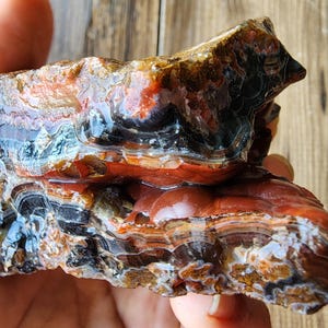 May include: A polished agate specimen featuring vibrant bands of deep red, burnt orange, and glossy black. The stone displays a complex, layered structure with translucent sections and a smooth, reflective surface that highlights its natural mineral patterns.