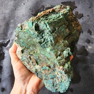 Lapidary Equipment, Turkish Colla Wood Rough, Collawood, Lapidary Machine, Colla Wood, خشب متحجر, オパライズドウッド, Expensive Rocks, Lapidary Tools, lapidary template