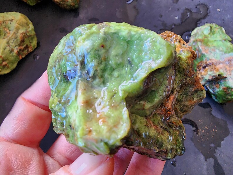 크리소프레이즈, Green Chrysoprase, Raw Chrysoprase, Krysopras, Rough Chrysoprase, Хризопраз, Crisoprasio, الكريسوبراس, Crisoprasa