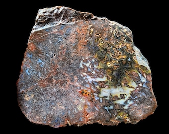 May include: A polished, irregularly shaped stone with a complex pattern of colors. The stone features a mix of brown, orange, white, and blue hues, creating a unique and textured appearance. The stone is set against a black background.