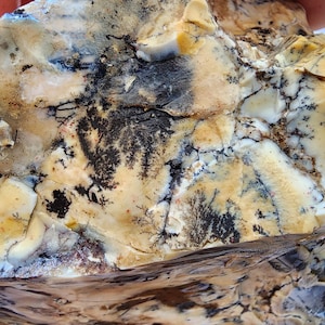 Large Opal Specimen, Large Yellow Opal, Dendritic Opal Rough, Dendrite Opal Rough, 수지상 오팔, Lapidary, Raw Dendritic Opal